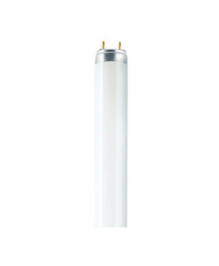OSRAM L18W/530 T8 TUBE - Fluorescent T8 tube with cool white 530 color temperature, offering long life and energy efficiency for office and retail lighting applications